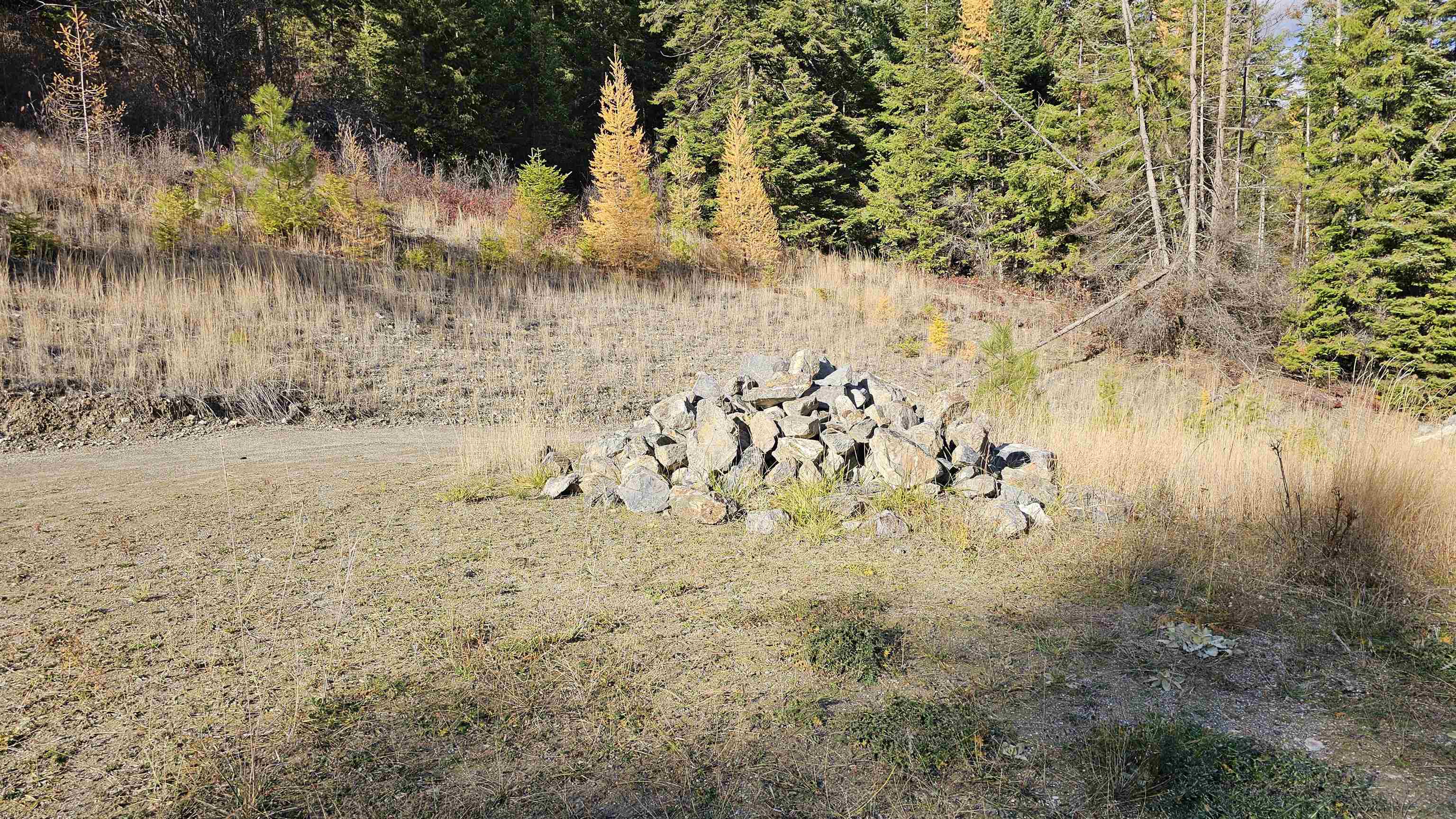 717 C Finley Gulch Road Colville, WA 99114 - Photo 7 of 8