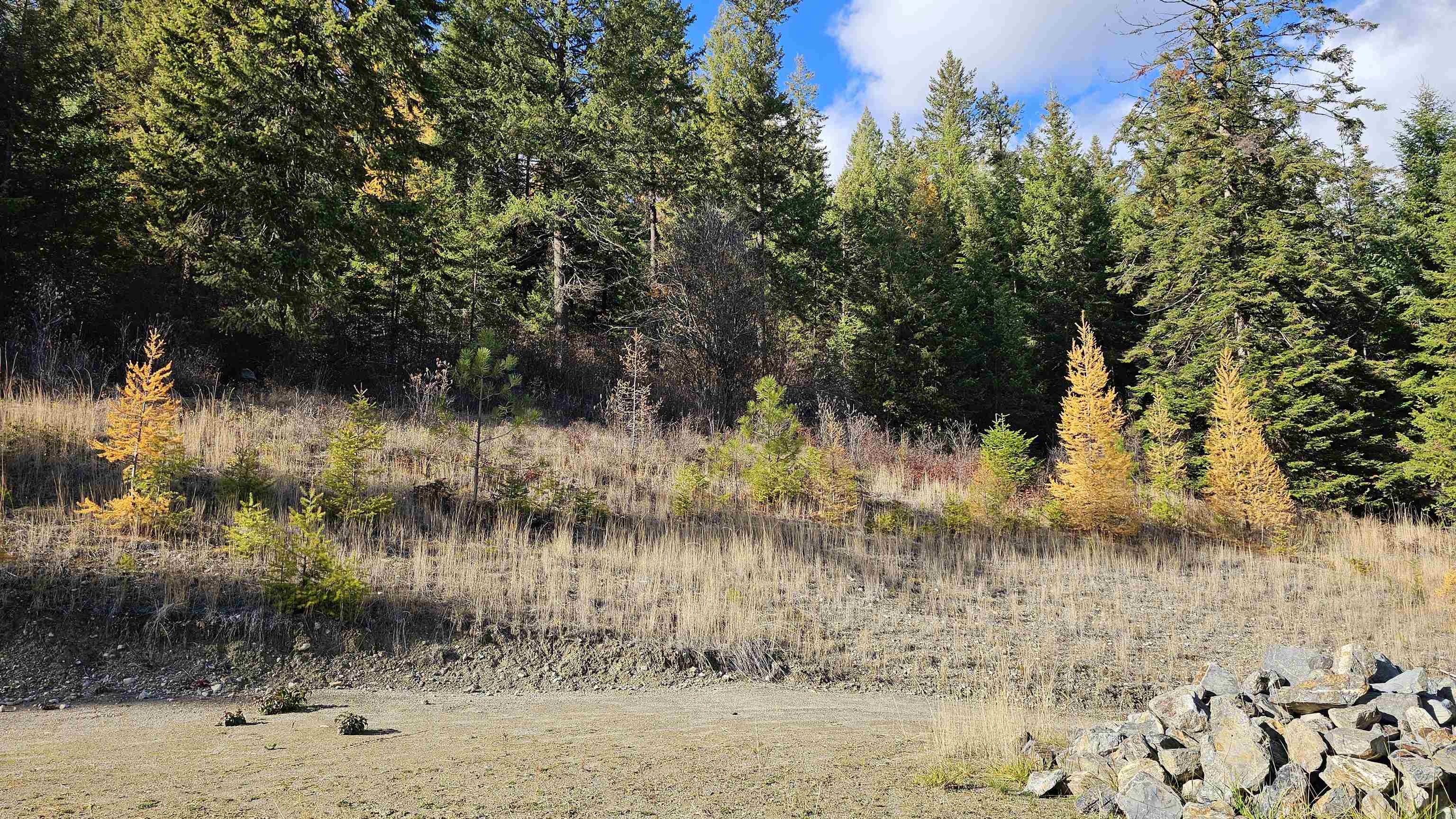 717 C Finley Gulch Road Colville, WA 99114 - Photo 8 of 8