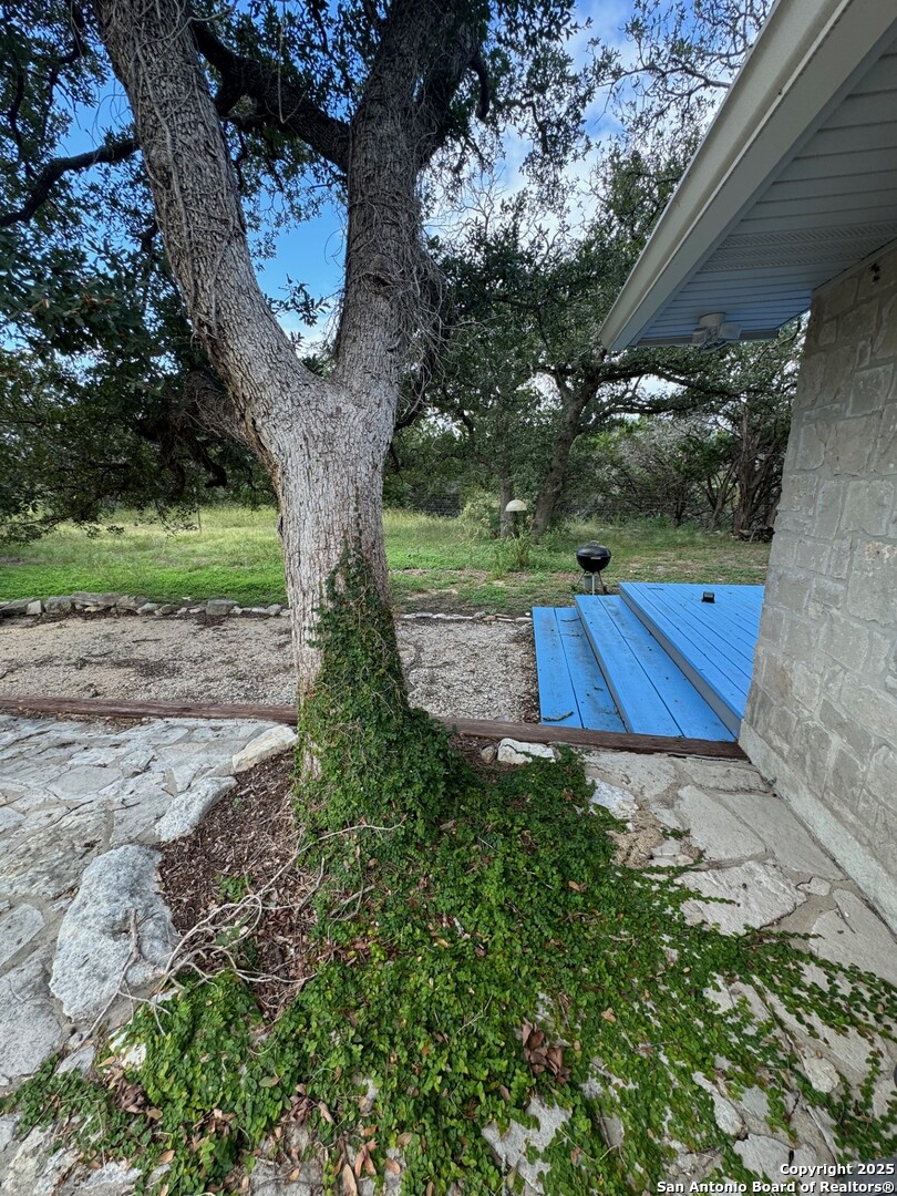 572 Fm 2107 Medina, TX 78055 - Photo 12 of 15 a view of statue in a garden