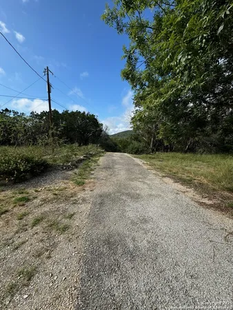 a view of a field with a tree