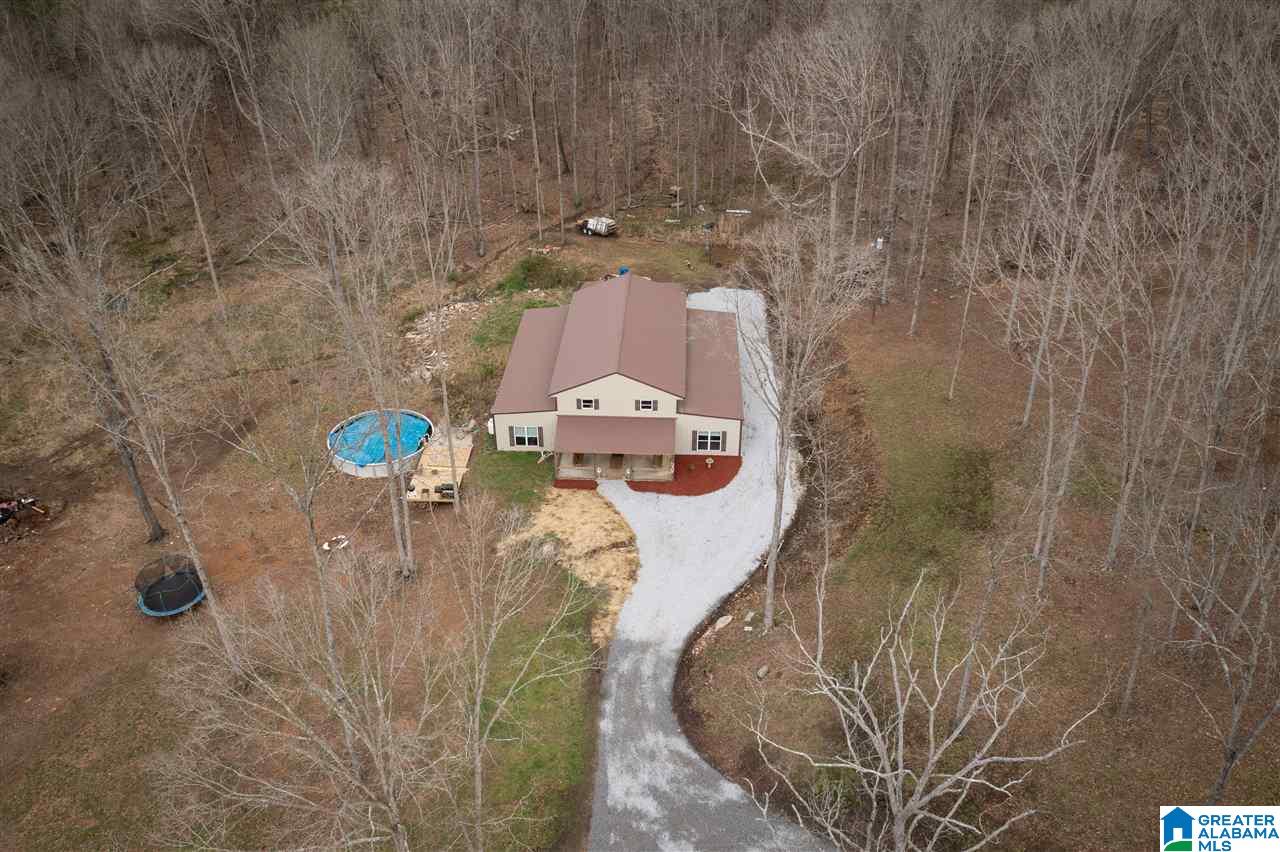 85 County Road 910 Delta, AL 36258 - Photo 3 of 49