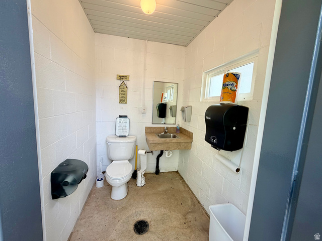 1133 Paris Canyon Road Paris, ID 83261 - Photo 47 of 75 Functional restroom featuring white block walls, a single window, and a ceiling-mounted light fixture