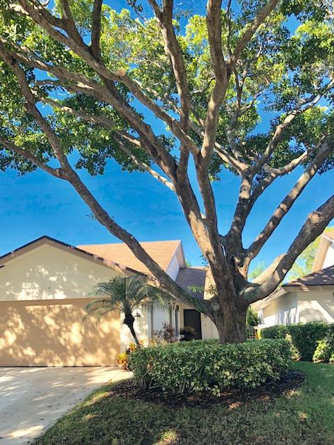 310 Ridge Road Jupiter, FL 33477 - Photo 3 of 37 Treed area