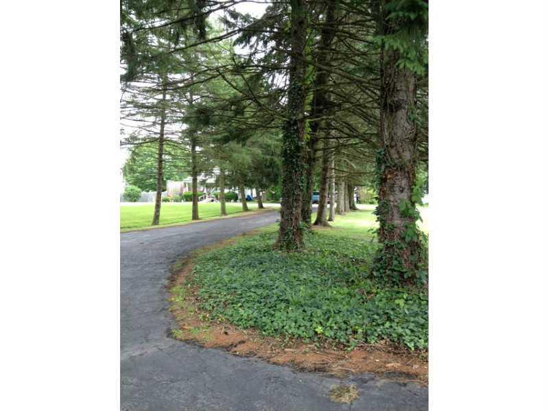118 Sunnyside Road New Castle, PA 16102 - Photo 3 of 13 Yard/Garden. Tree lined Blacktop driveway to Sunnyside Road 2 houses from Rt 108
