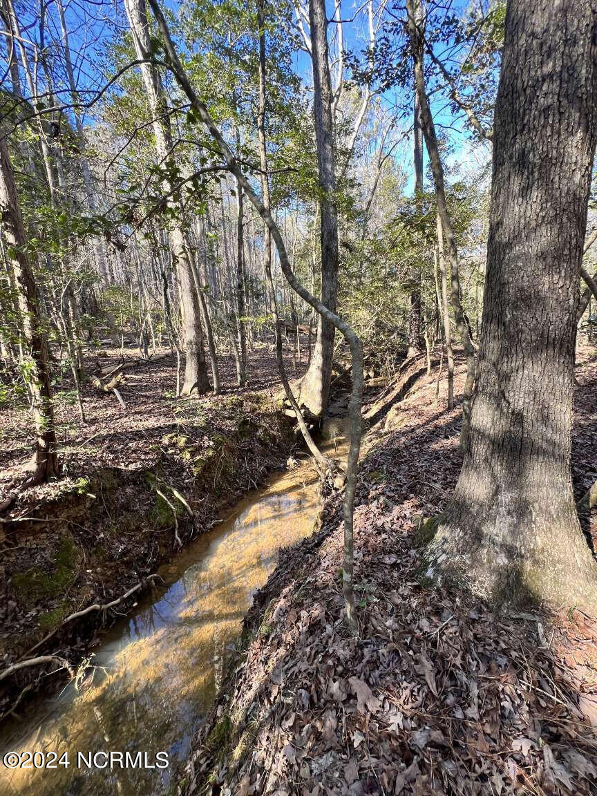0 Highway 220 Road North Ellerbe, NC 28338 - Photo 4 of 10 Foushee.4