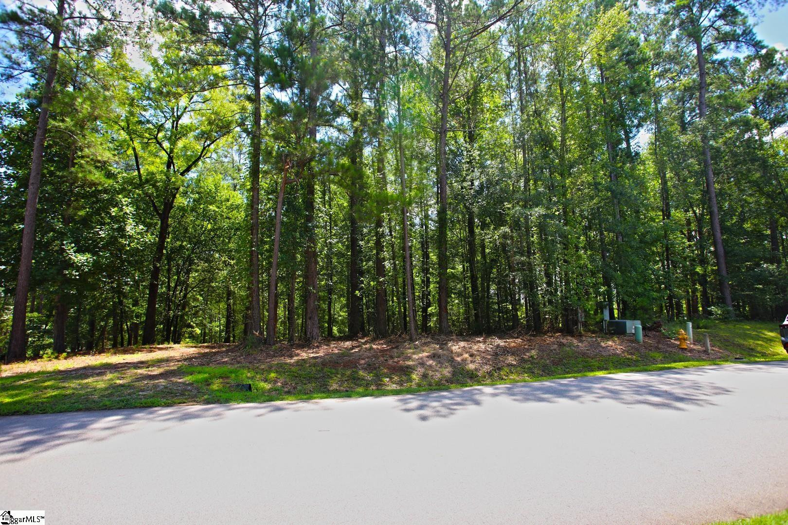 86 Peninsula Road West Union, SC 29696 - Photo 42 of 45 Gallery Image 42
