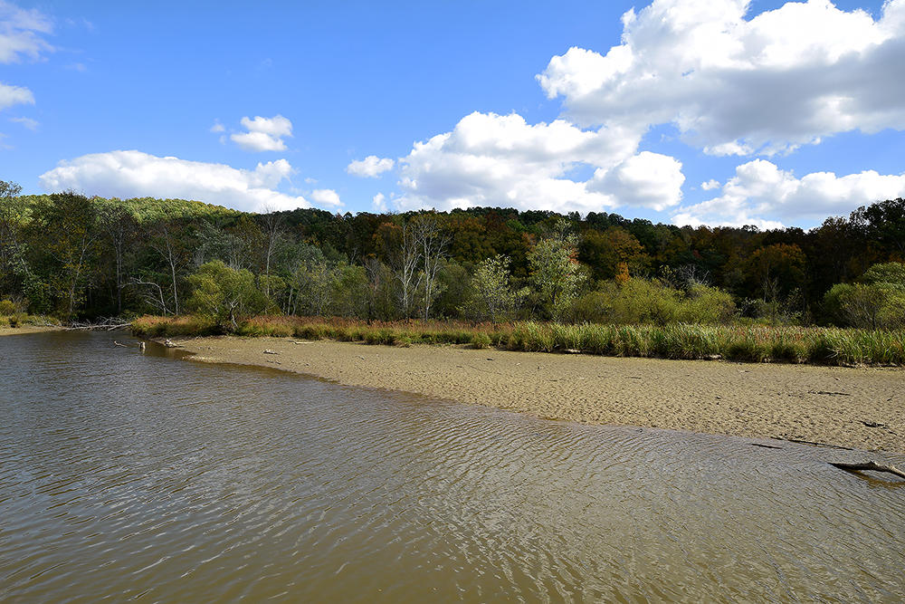 352 South No Pone Valley Road Decatur, TN 37322 - Photo 31 of 32 352_S_No_Pone_Rd_38