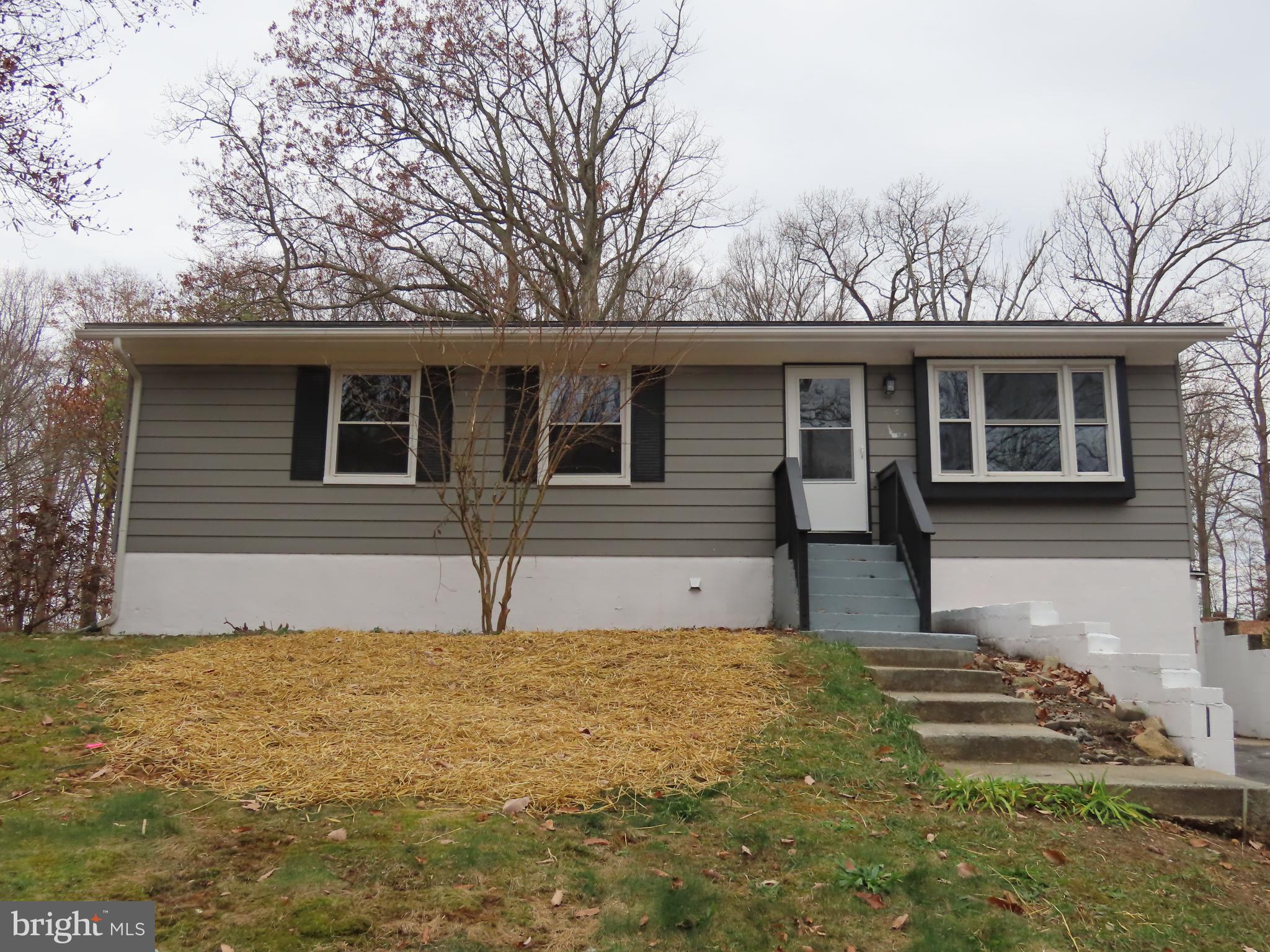563 Principio Road Port Deposit, MD 21904 - Photo 1 of 16 a house that has a tree in front of it