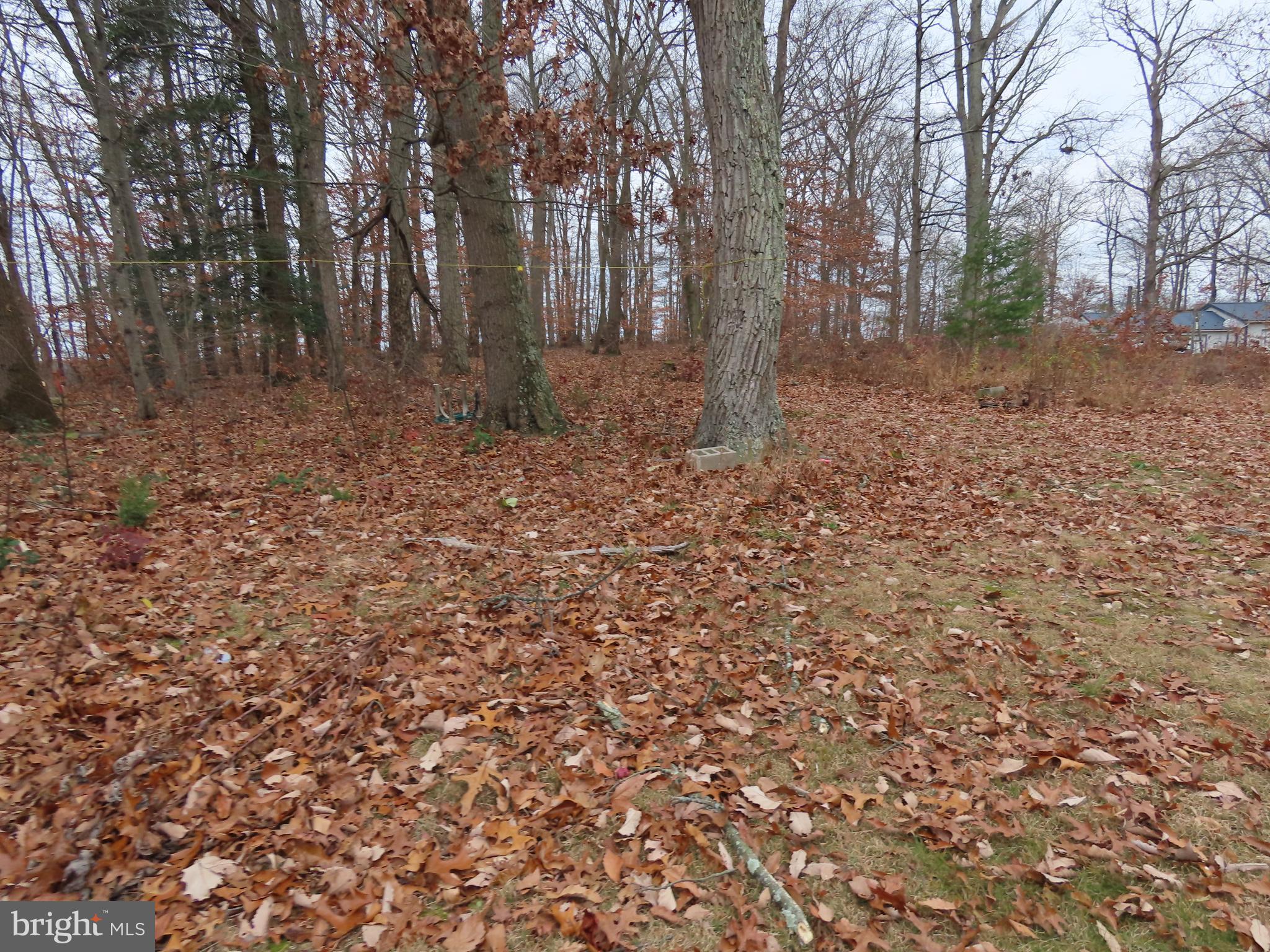 563 Principio Road Port Deposit, MD 21904 - Photo 3 of 16 a backyard of a house with lots of green space