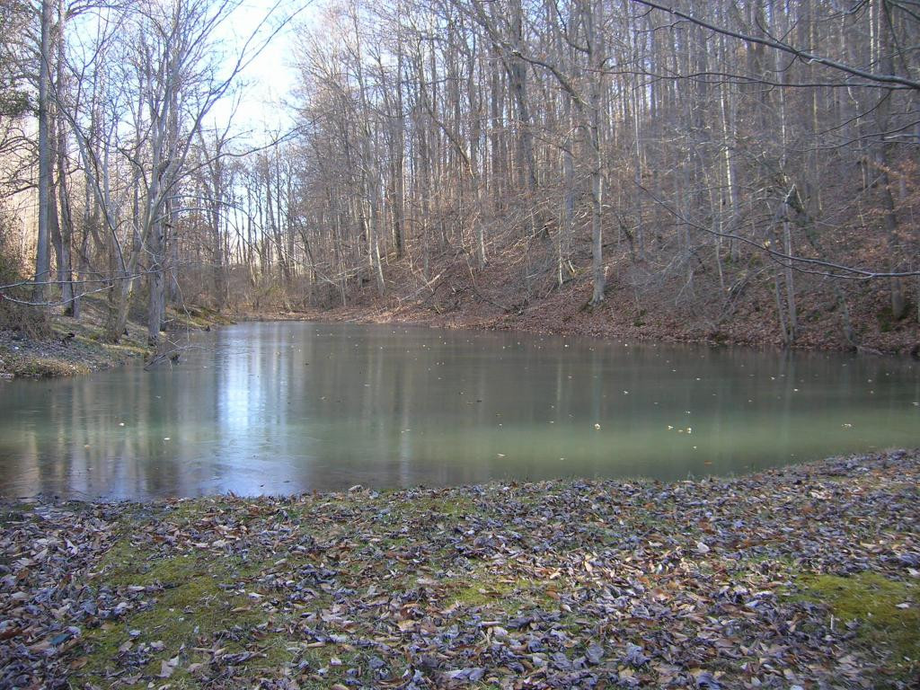 319 Rogers Road Rogersville, TN 37857 - Photo 2 of 5 Photo 2