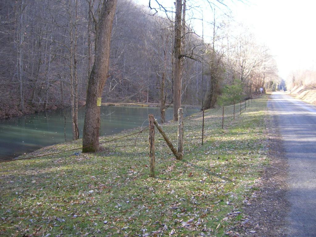 319 Rogers Road Rogersville, TN 37857 - Photo 3 of 5 Photo 3