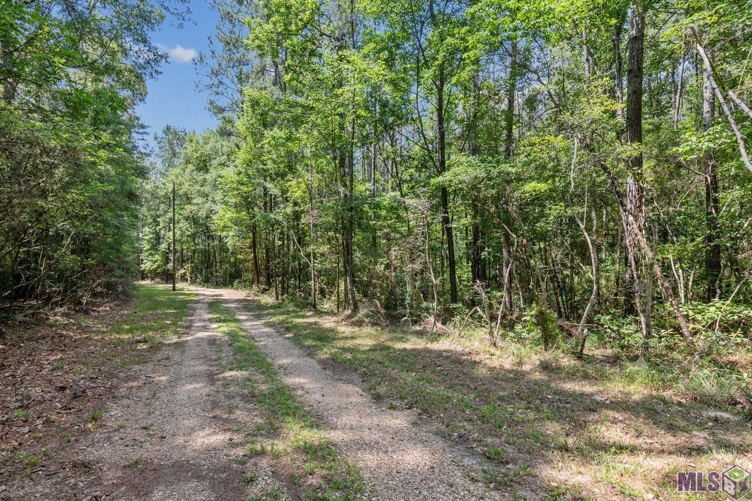 Lot 1 Pace Road Clinton, LA 70722 - Photo 2 of 6