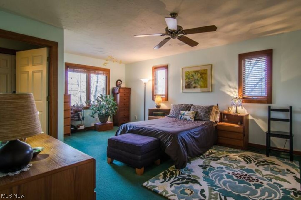 41678 Butternut Ridge Road Elyria, OH 44035 - Photo 12 of 25 Bedroom with multiple windows, dark carpet, and ceiling fan