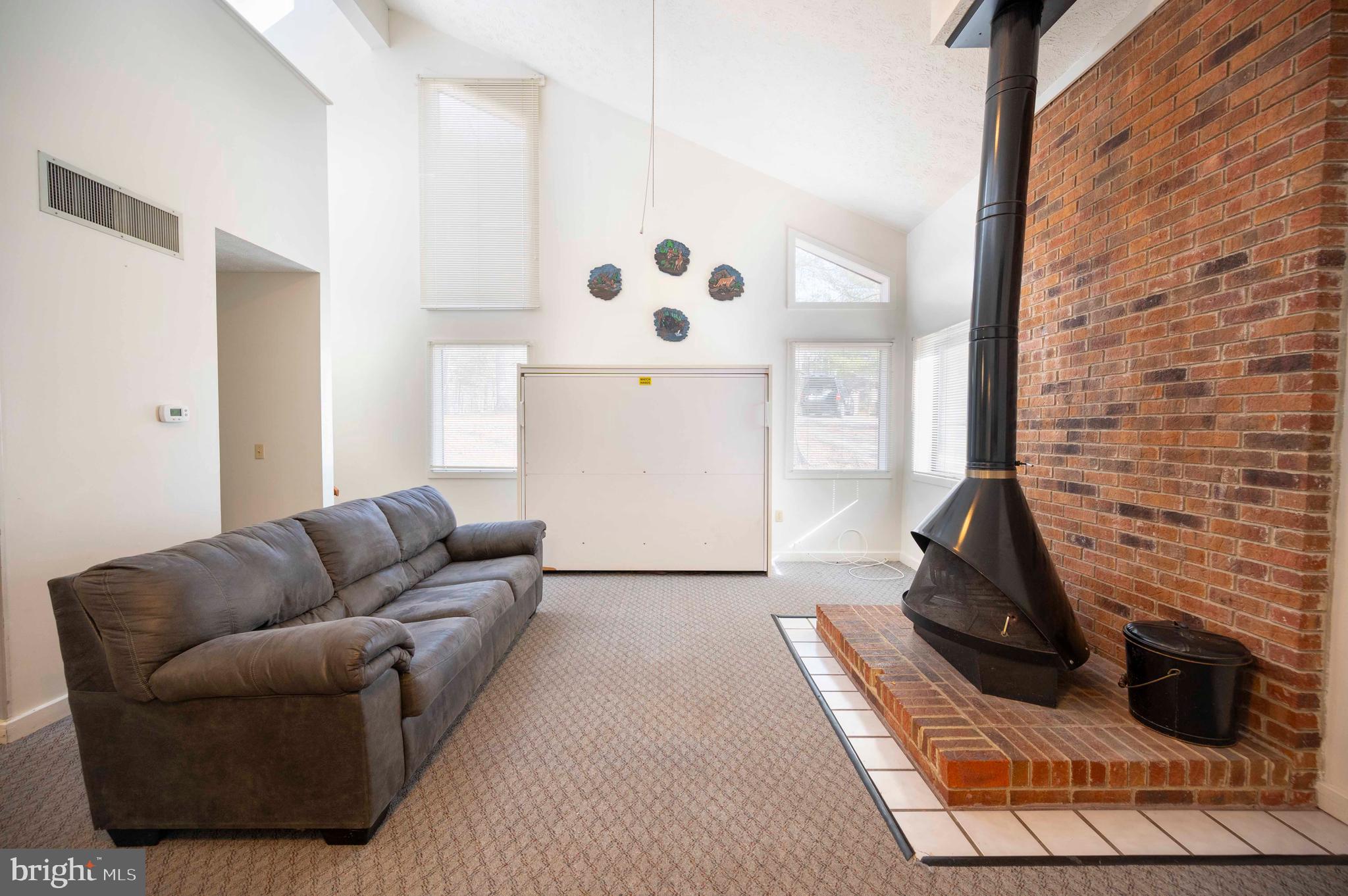 377 Spitz Lane, Unit 100 Basye, VA 22810 - Photo 13 of 69 a living room with furniture and a rug