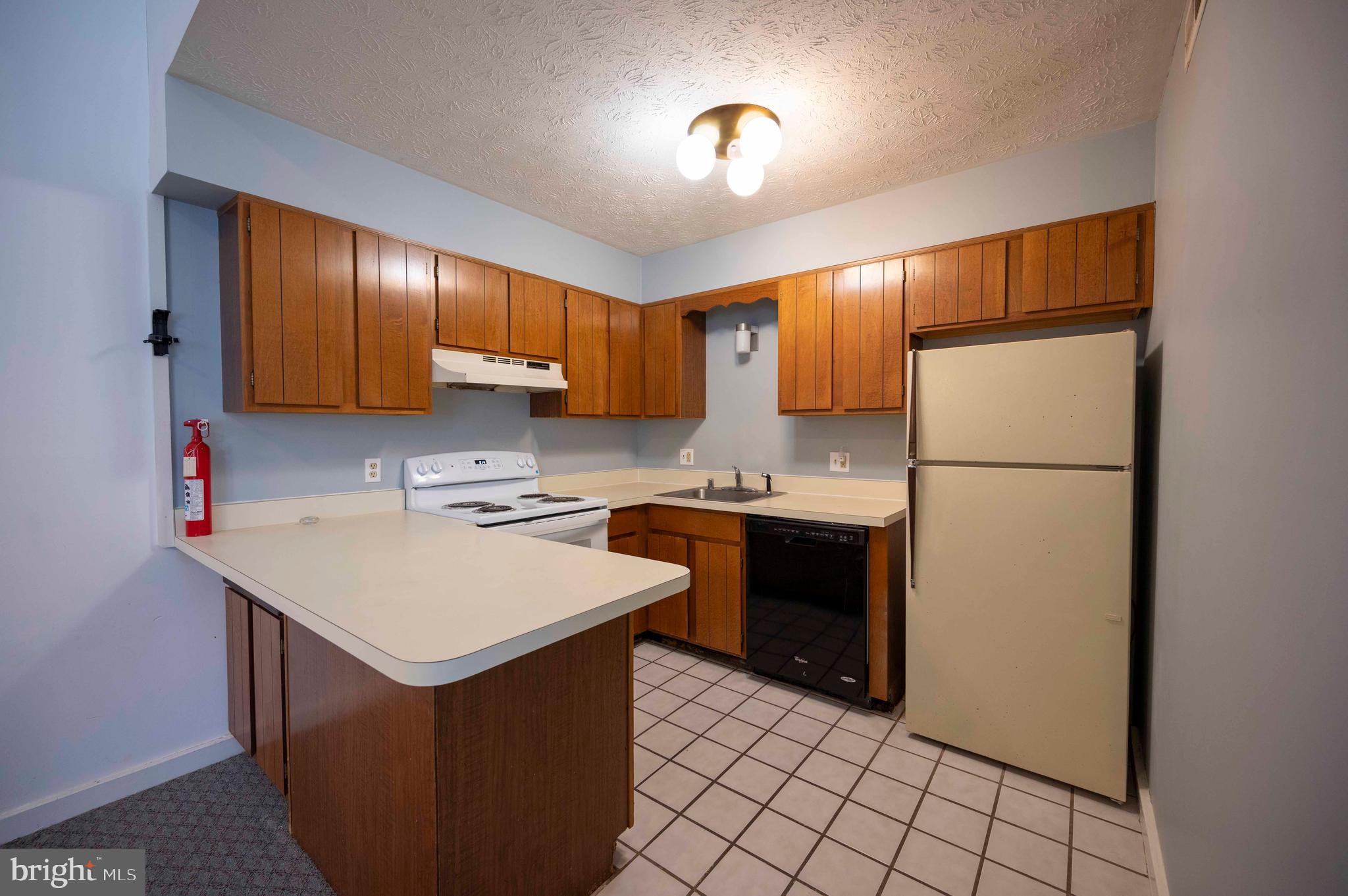 377 Spitz Lane, Unit 100 Basye, VA 22810 - Photo 15 of 69 a kitchen with a sink cabinets and refrigerator