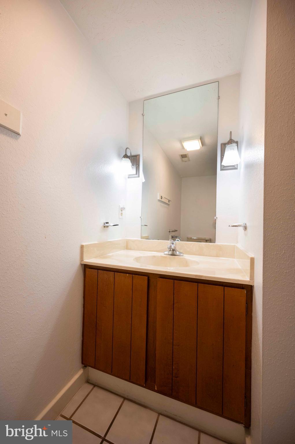 377 Spitz Lane, Unit 100 Basye, VA 22810 - Photo 20 of 69 a bathroom with a sink and a mirror