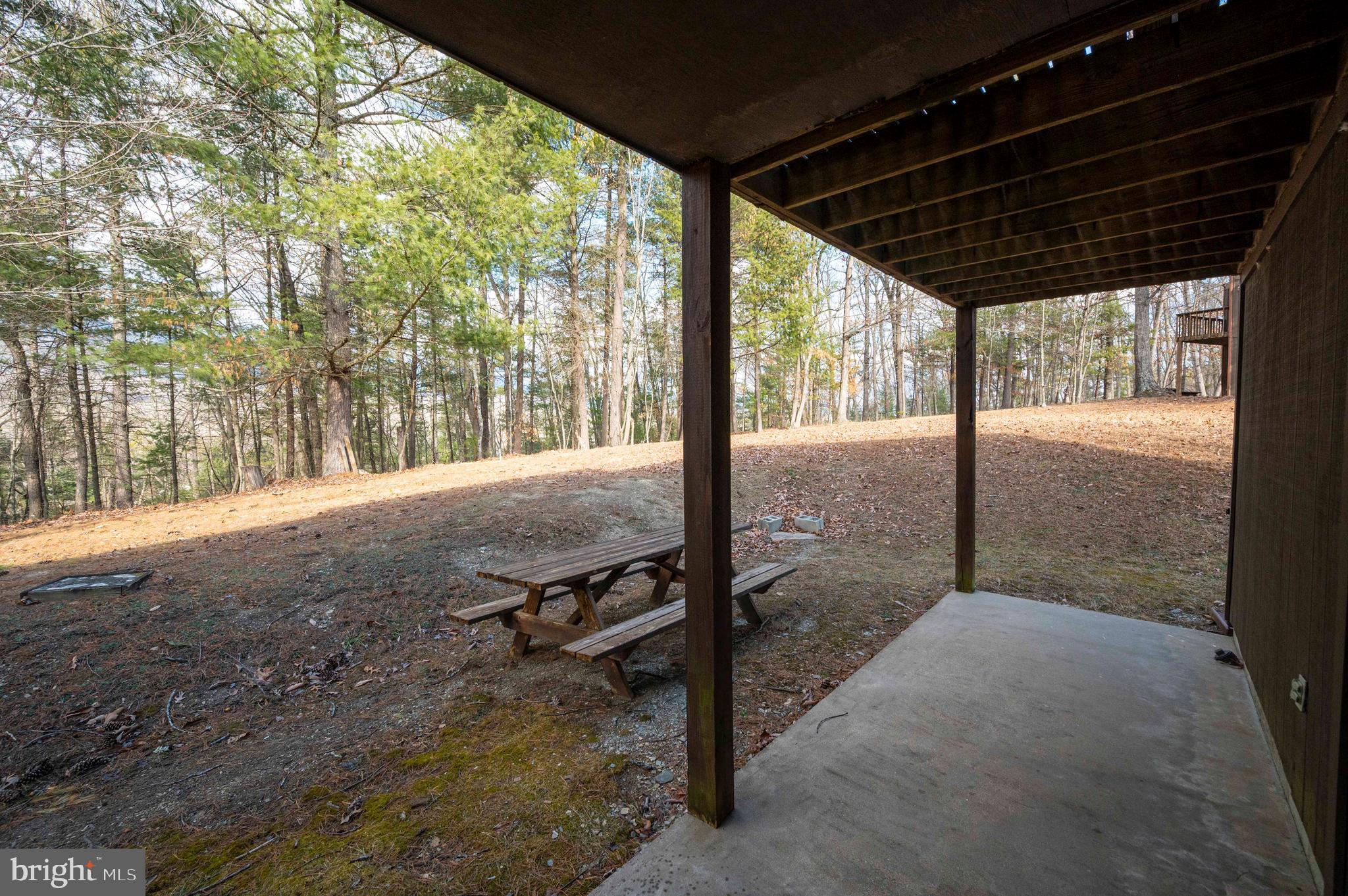 377 Spitz Lane, Unit 100 Basye, VA 22810 - Photo 22 of 69 a view of a backyard of the house