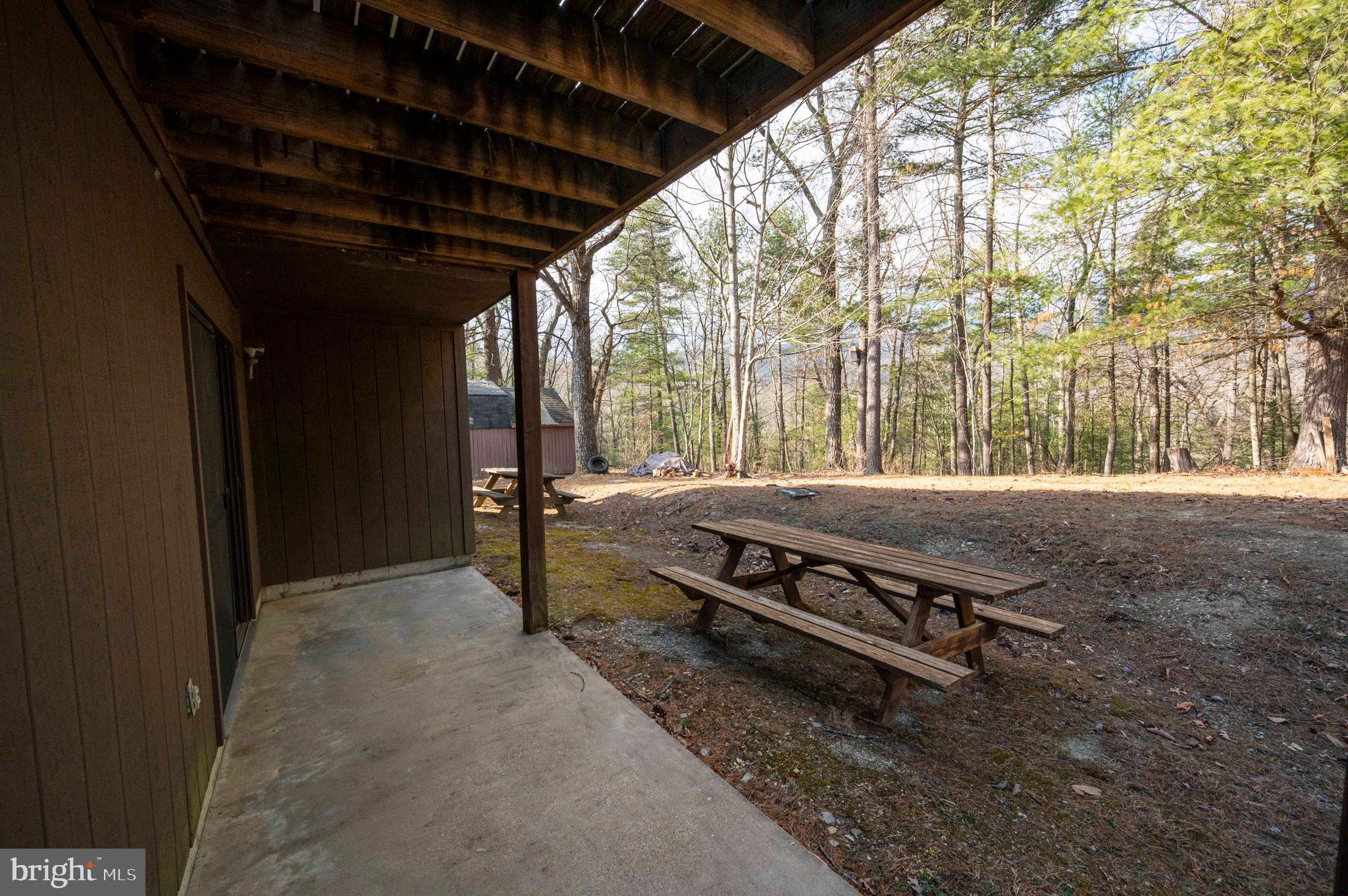 377 Spitz Lane, Unit 100 Basye, VA 22810 - Photo 23 of 69