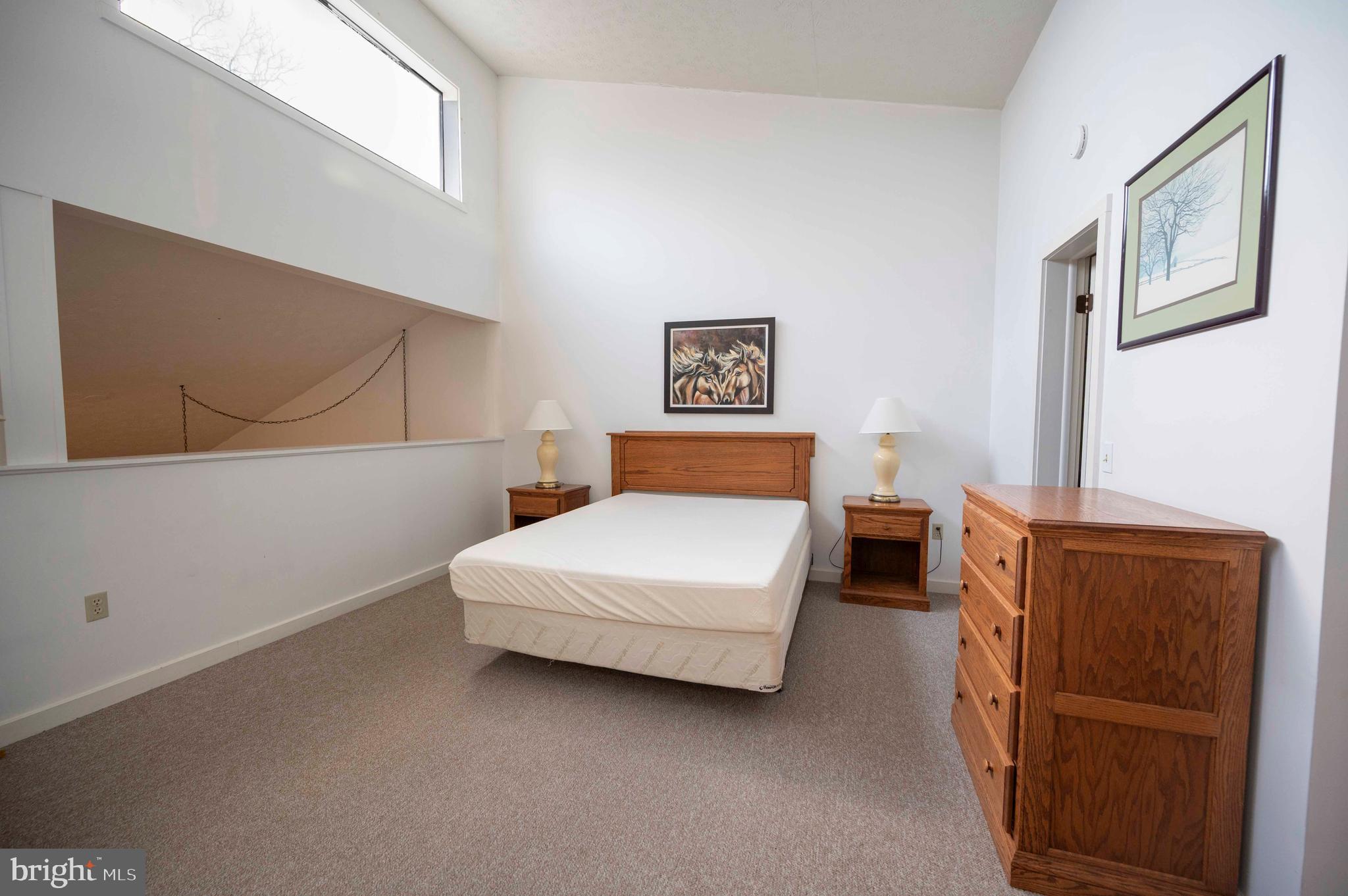 377 Spitz Lane, Unit 100 Basye, VA 22810 - Photo 25 of 69 a bedroom with a bed and a cabinets