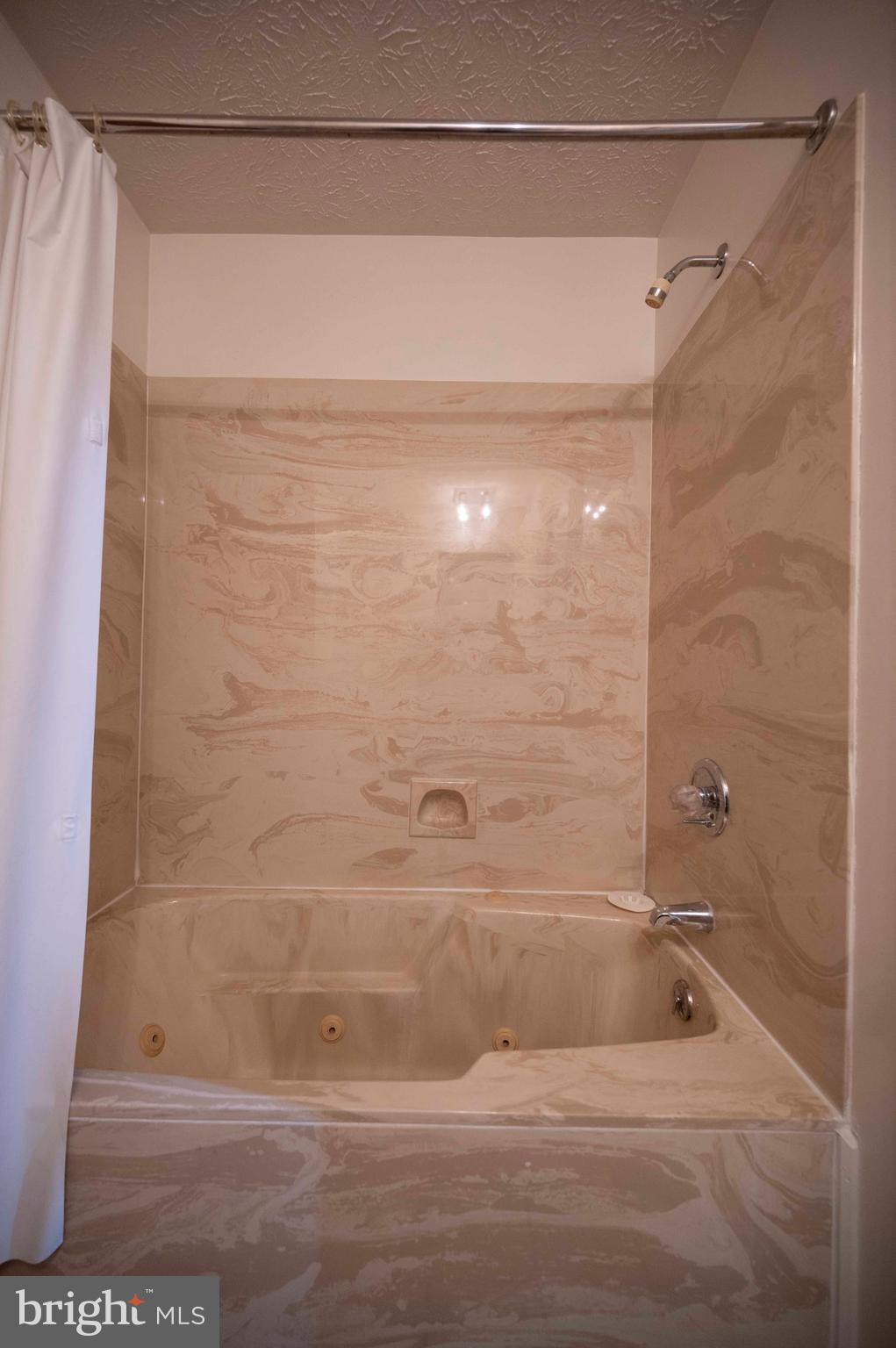 377 Spitz Lane, Unit 100 Basye, VA 22810 - Photo 30 of 69 a bathroom with a shower and a glass door