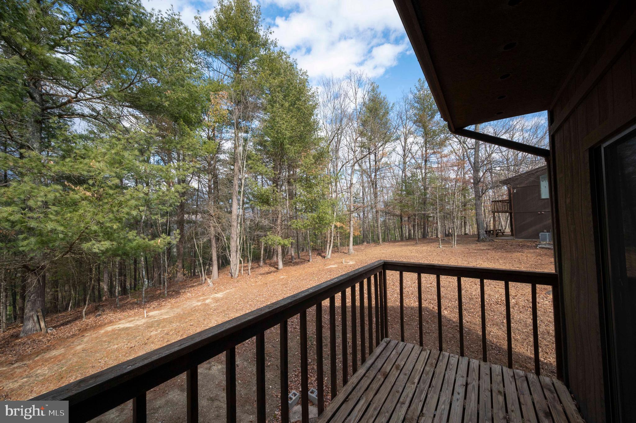 377 Spitz Lane, Unit 100 Basye, VA 22810 - Photo 32 of 69