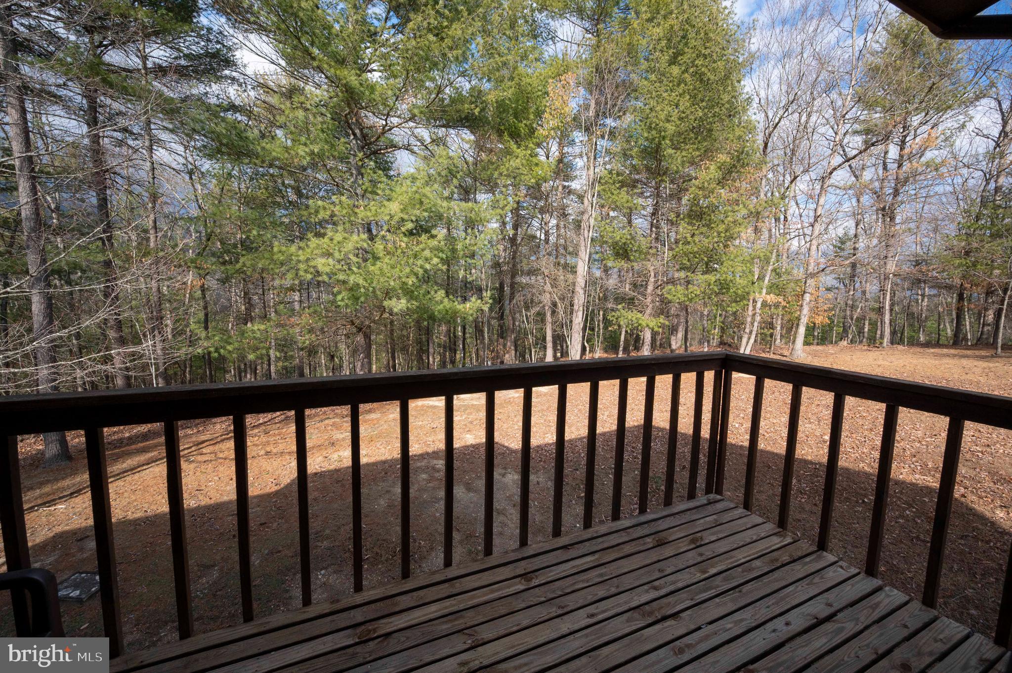 377 Spitz Lane, Unit 100 Basye, VA 22810 - Photo 33 of 69