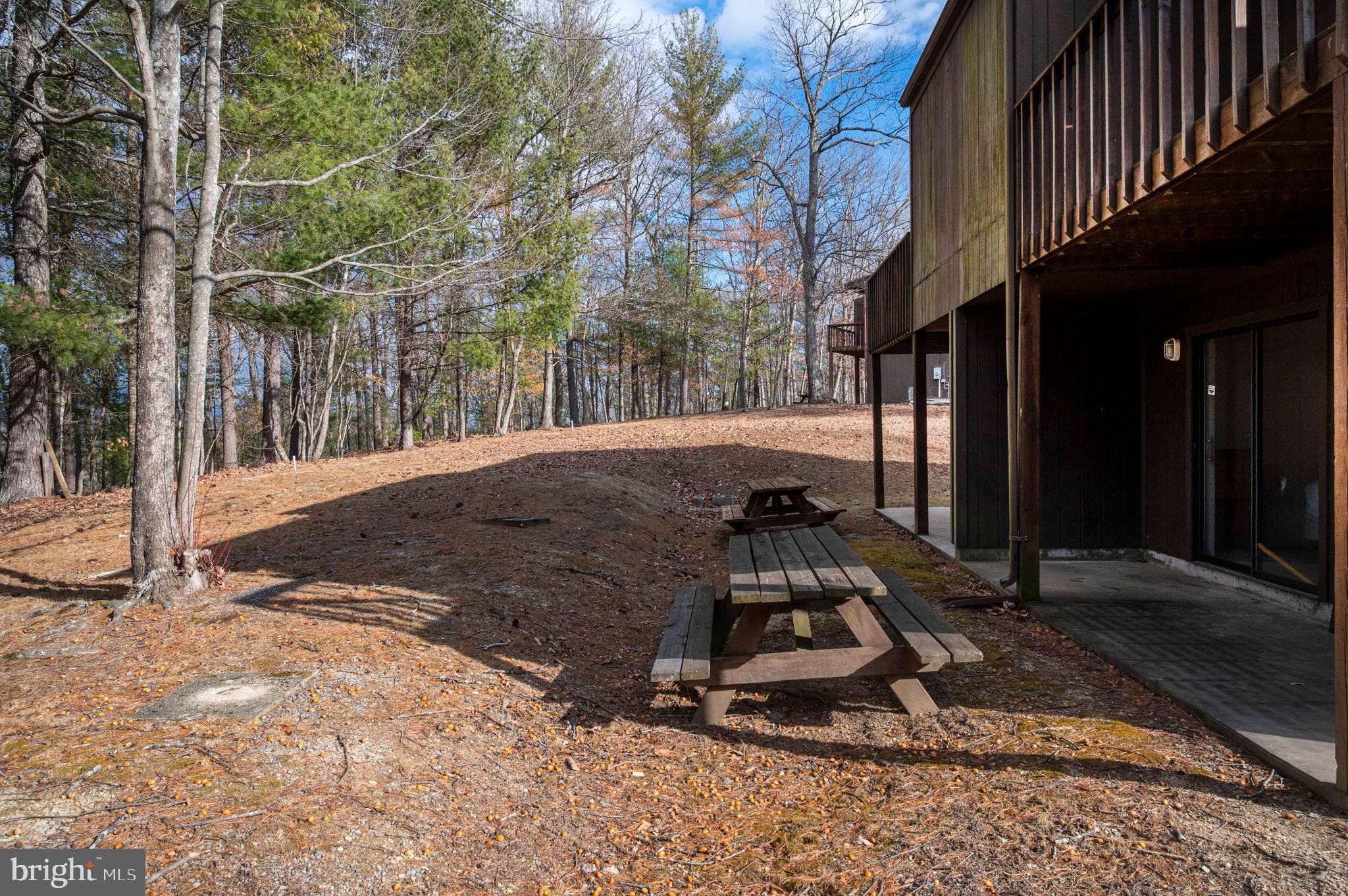 377 Spitz Lane, Unit 100 Basye, VA 22810 - Photo 39 of 69