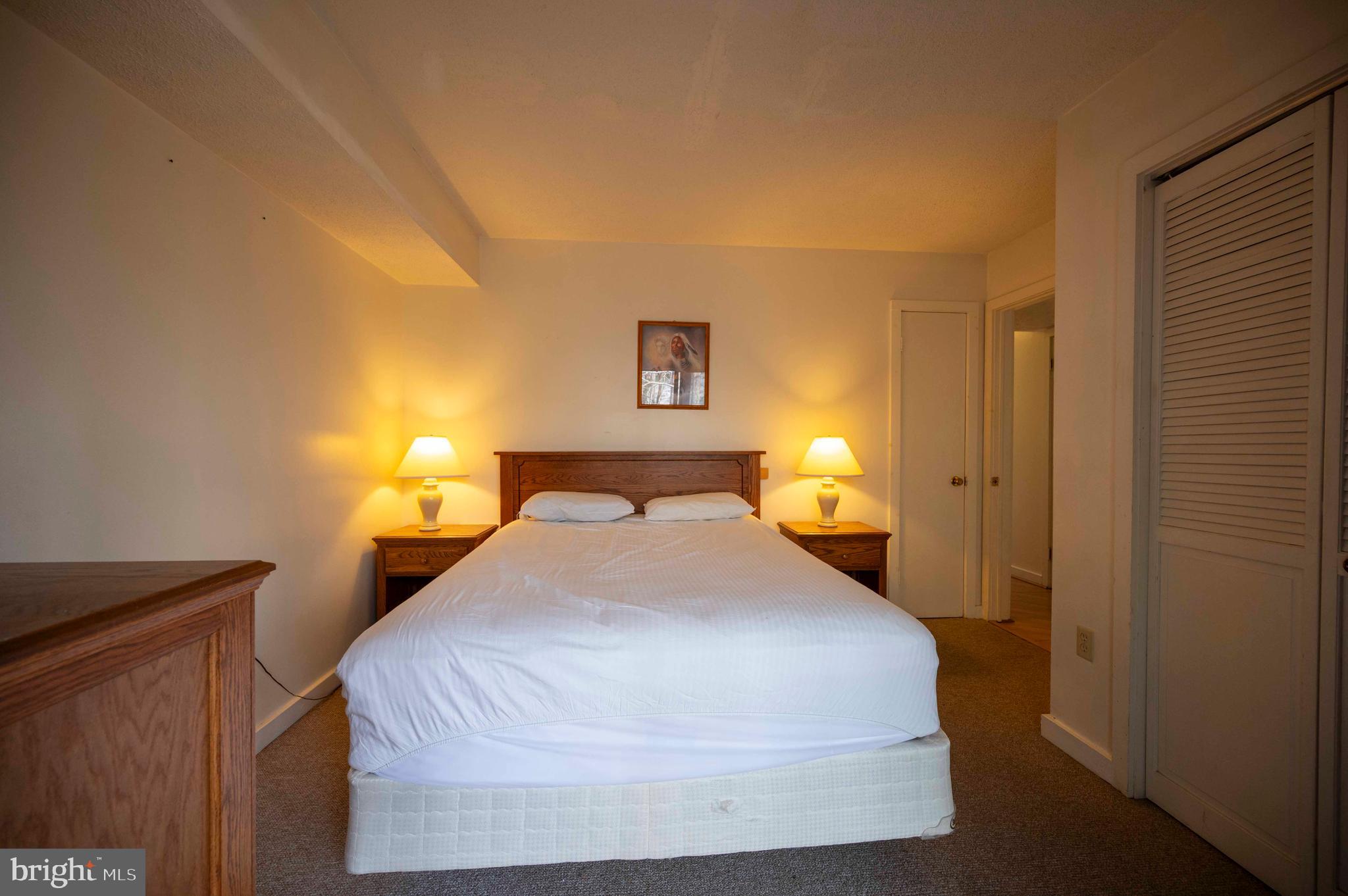 377 Spitz Lane, Unit 100 Basye, VA 22810 - Photo 53 of 69 a bedroom with a bed and a lamp