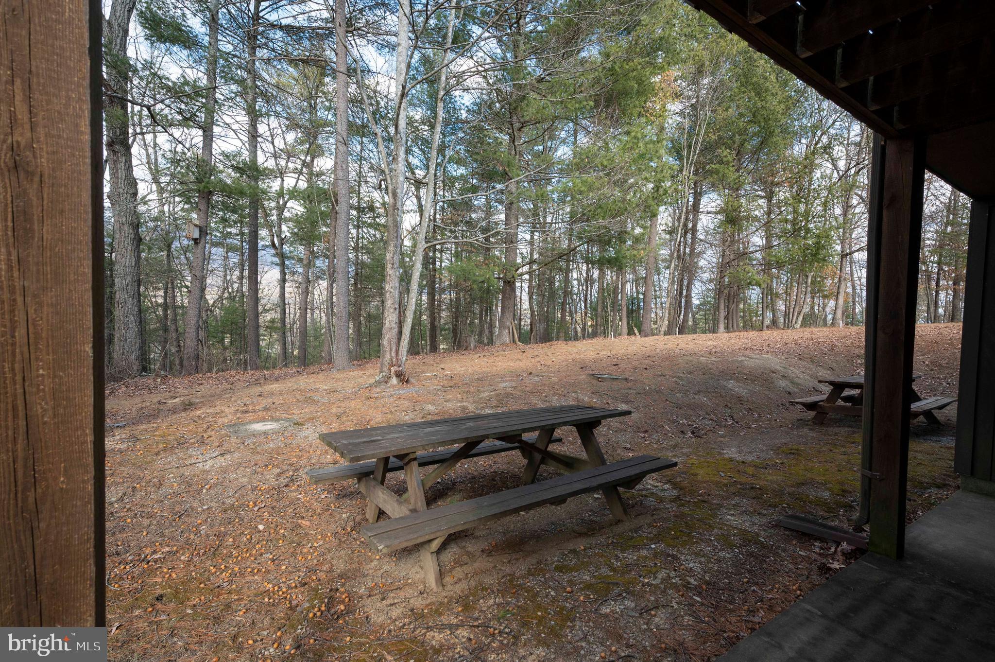 377 Spitz Lane, Unit 100 Basye, VA 22810 - Photo 54 of 69