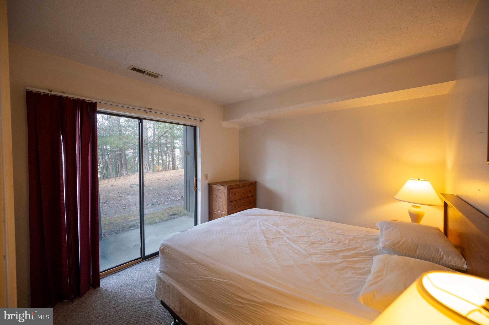 377 Spitz Lane, Unit 100 Basye, VA 22810 - Photo 55 of 69 a bedroom with a bed and a lamp