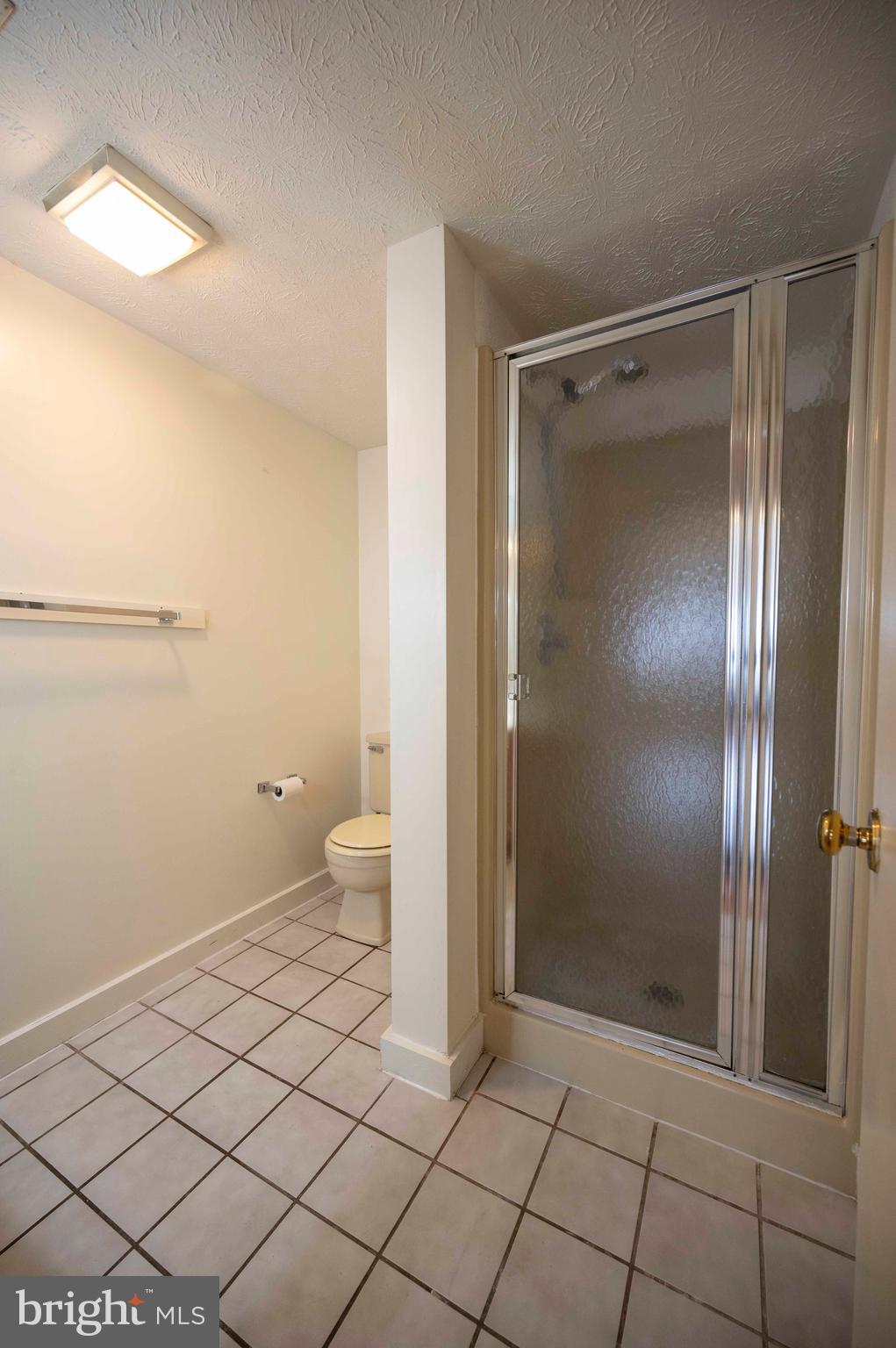 377 Spitz Lane, Unit 100 Basye, VA 22810 - Photo 56 of 69 a bathroom with a shower and a toilet
