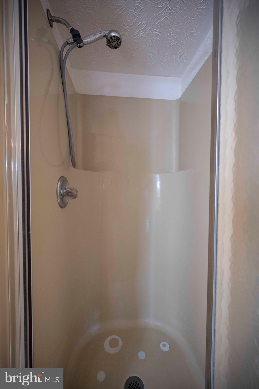 377 Spitz Lane, Unit 100 Basye, VA 22810 - Photo 59 of 69 a bathroom with a shower