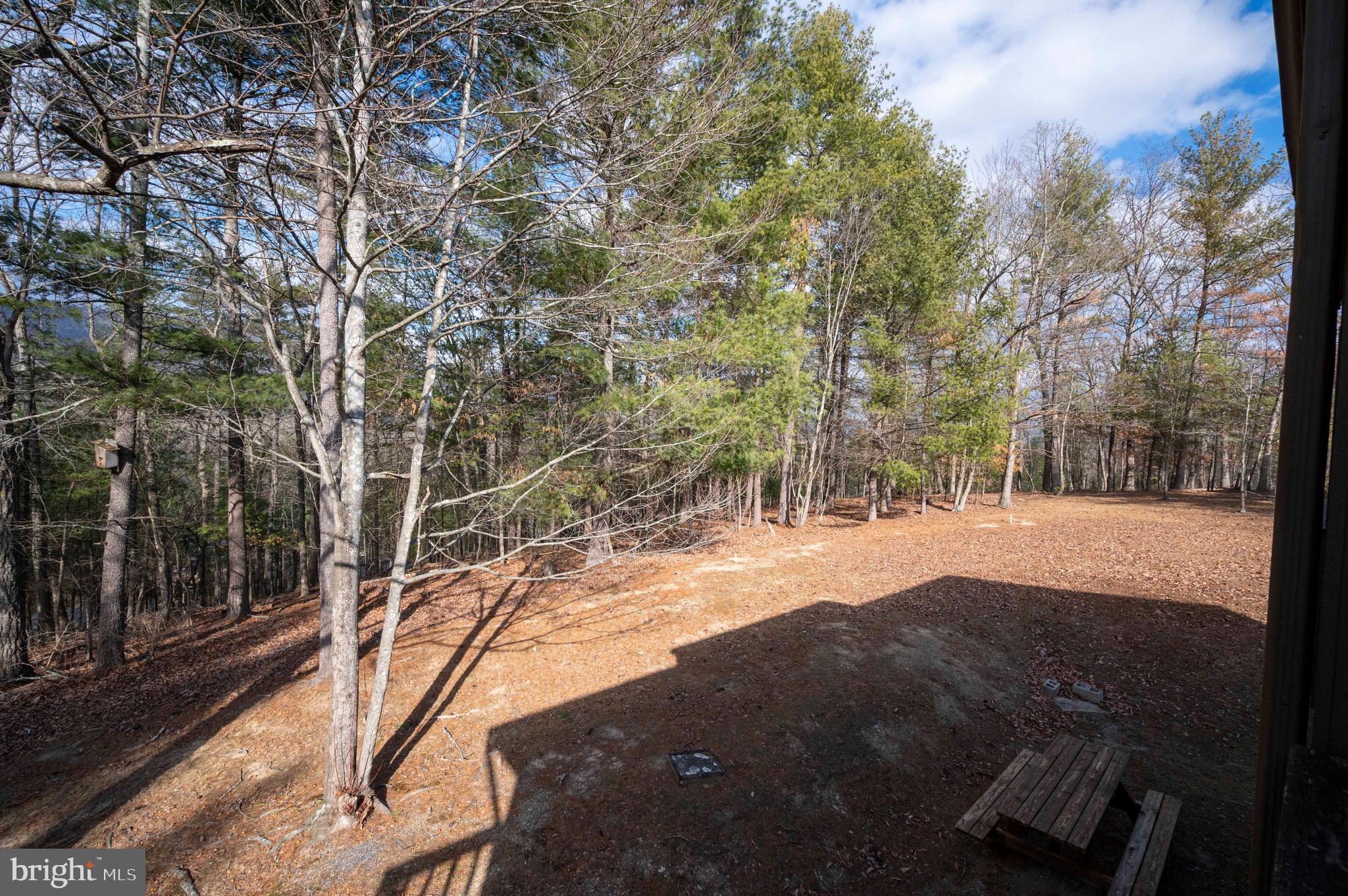 377 Spitz Lane, Unit 100 Basye, VA 22810 - Photo 68 of 69 a view of outdoor space and yard