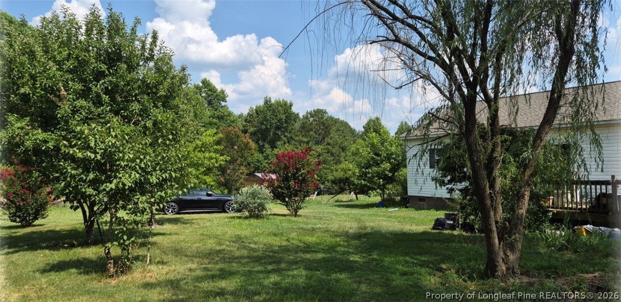 1011 Sweet Raspberry Lane Lillington, NC 27546 - Photo 2 of 10