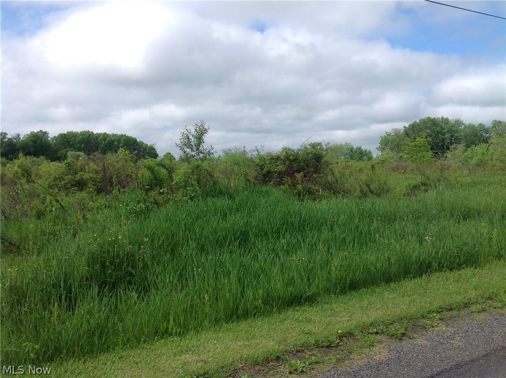 Best Road North Benton, OH 44449 - Photo 2 of 2 Gallery Image 2