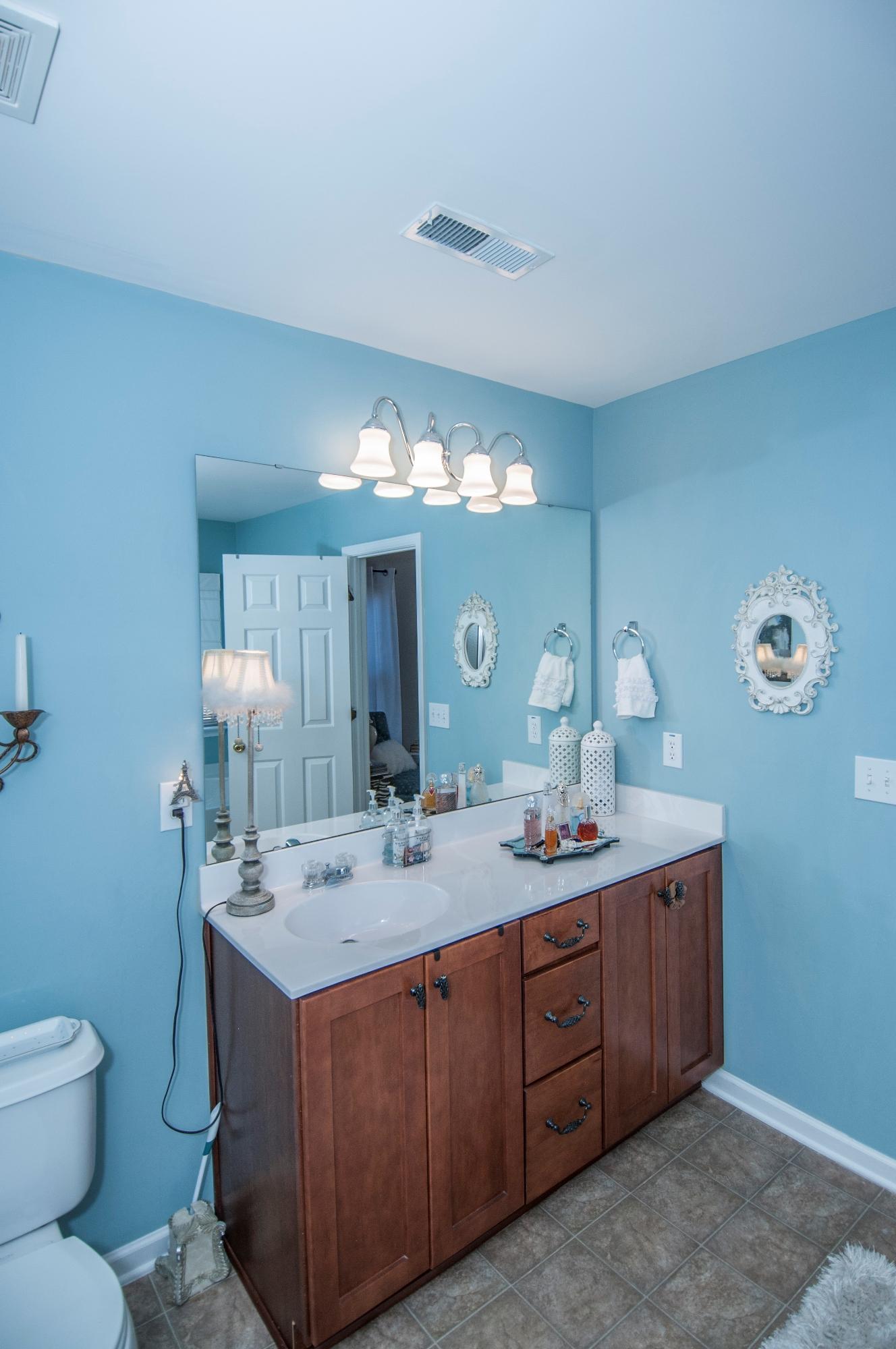 307 Albrighton Way Moncks Corner, SC 29461 - Photo 29 of 38 _DSC0762
