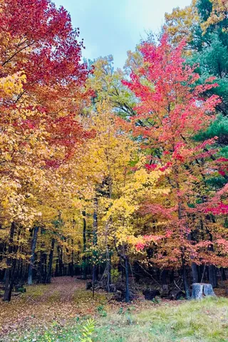 $44,900 | Lot 33 South Badger, Arkdale, WI 54613