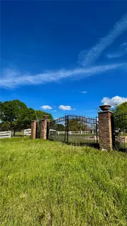 a view of a garden with an buildings in the background
