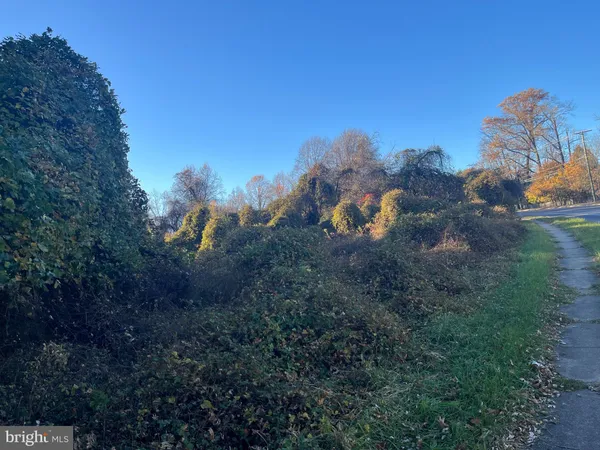 a view of a dry yard