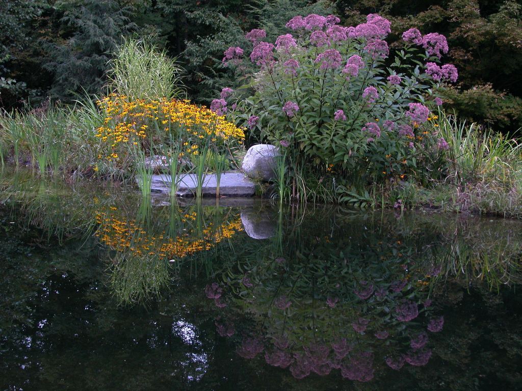 41 Oblong Road Williamstown, MA 01267 - Photo 22 of 32 Pond
