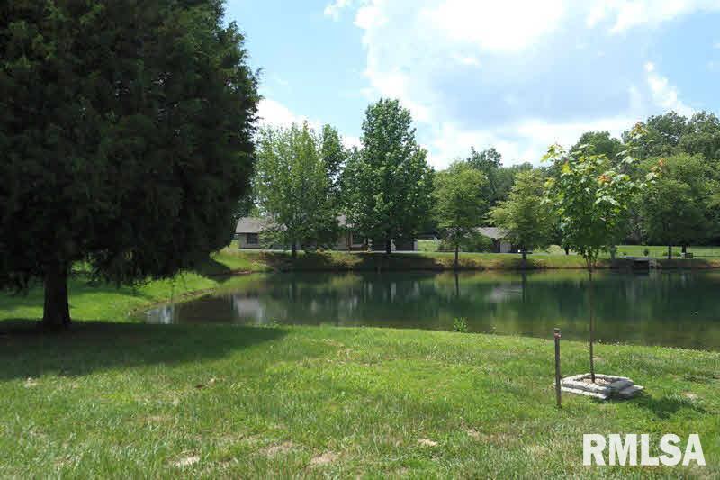 10375 Chayla Road Marion, IL 62959 - Photo 4 of 33