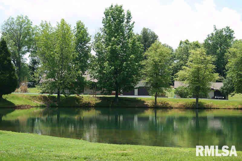 10375 Chayla Road Marion, IL 62959 - Photo 5 of 33