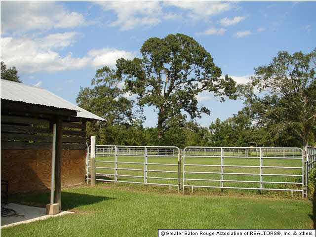 37406 White Road Prairieville, LA 70769 - Photo 12 of 19 Gallery Image 12