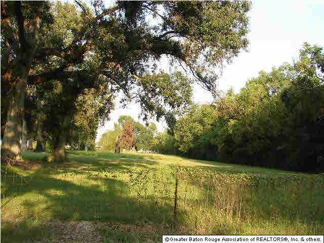 37406 White Road Prairieville, LA 70769 - Photo 15 of 19 Gallery Image 15