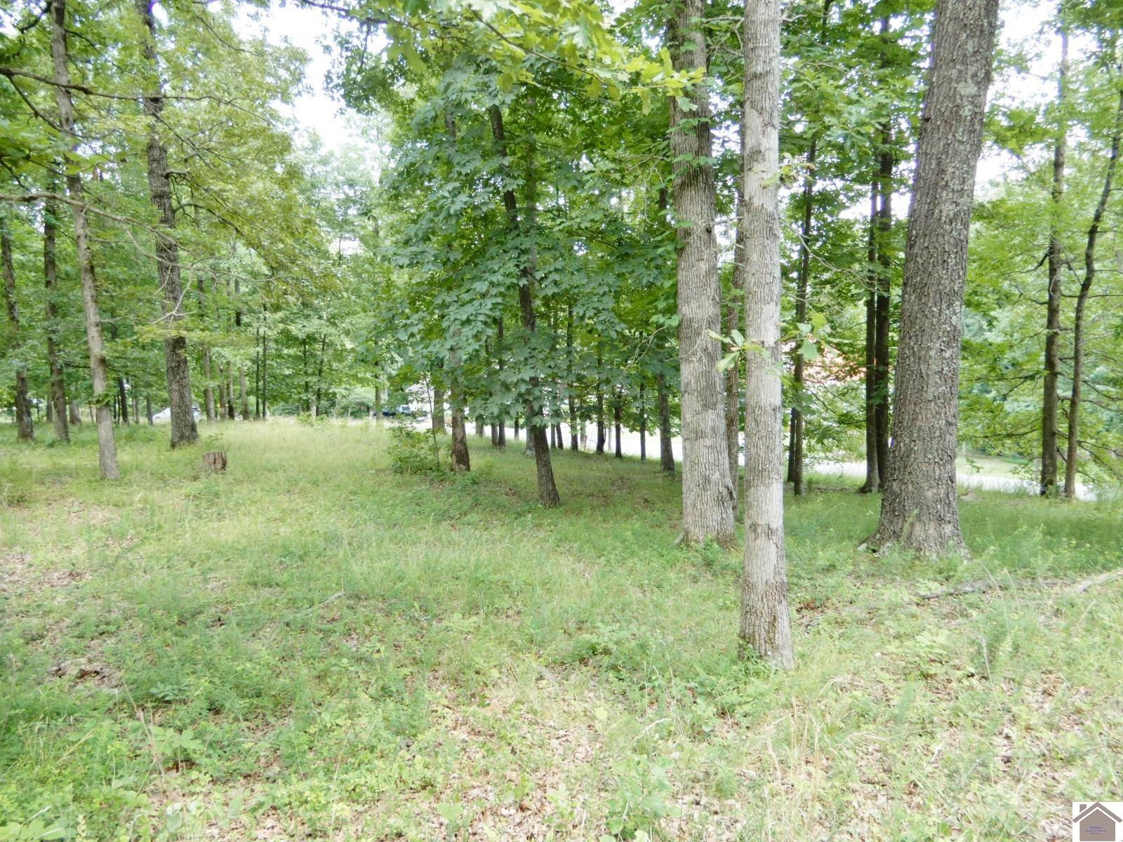 1664 Lola Road Hampton, KY 42047 - Photo 1 of 1 Photo 1
