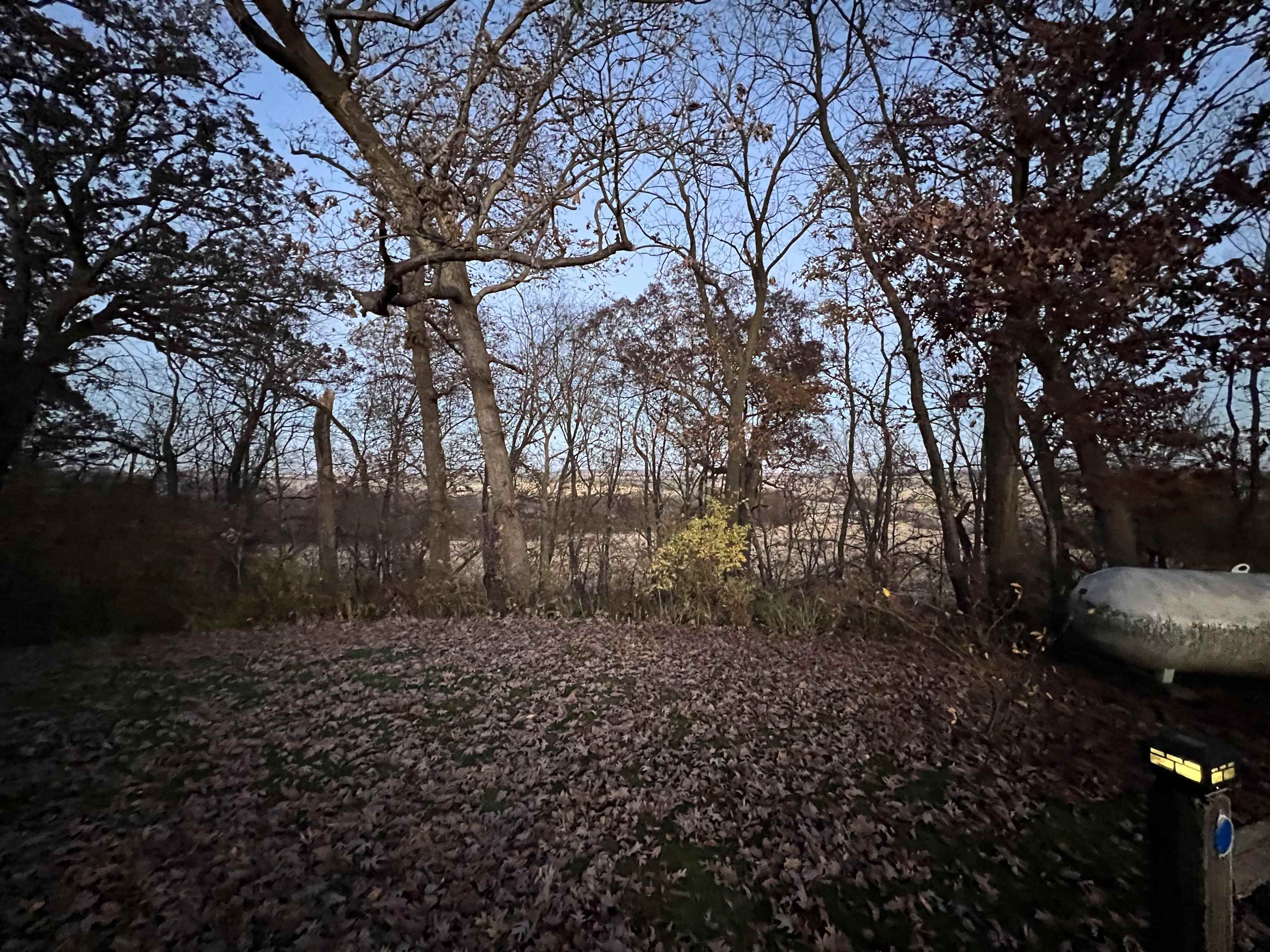 4707 South Elmoville Road Stockton, IL 61085 - Photo 38 of 43 a view of a yard with trees