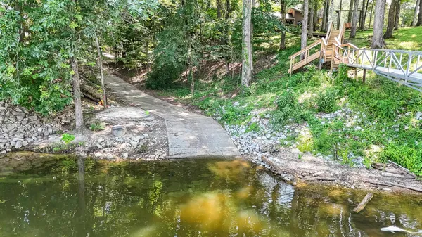 a view of a yard with plants and large trees