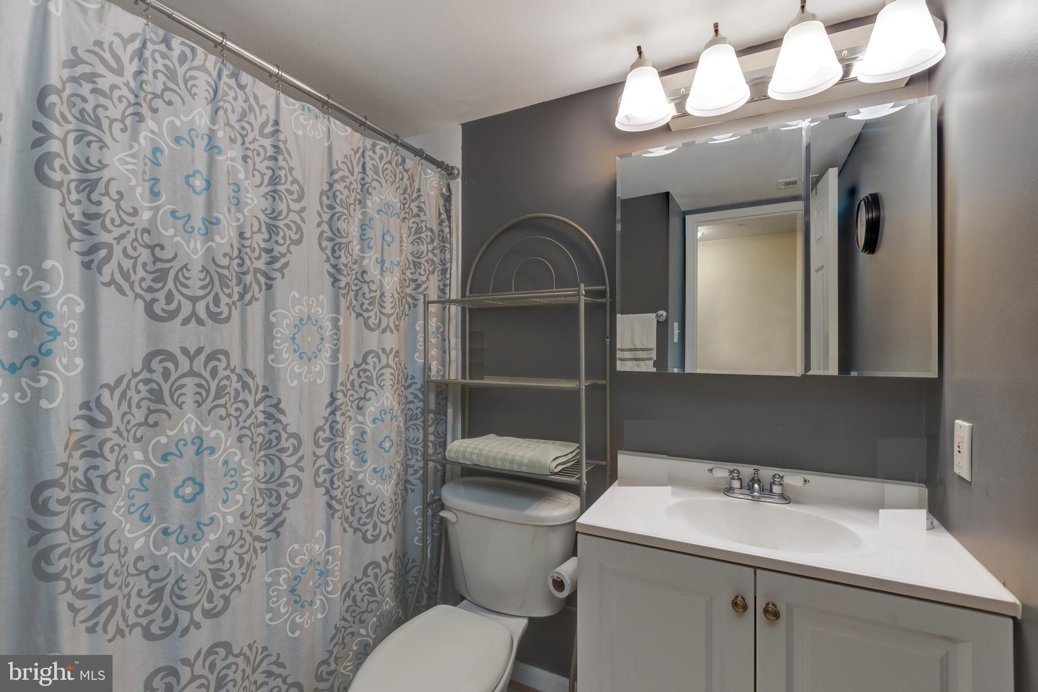 1427 Northgate Square, Unit 2A Reston, VA 20190 - Photo 17 of 50 Bathroom