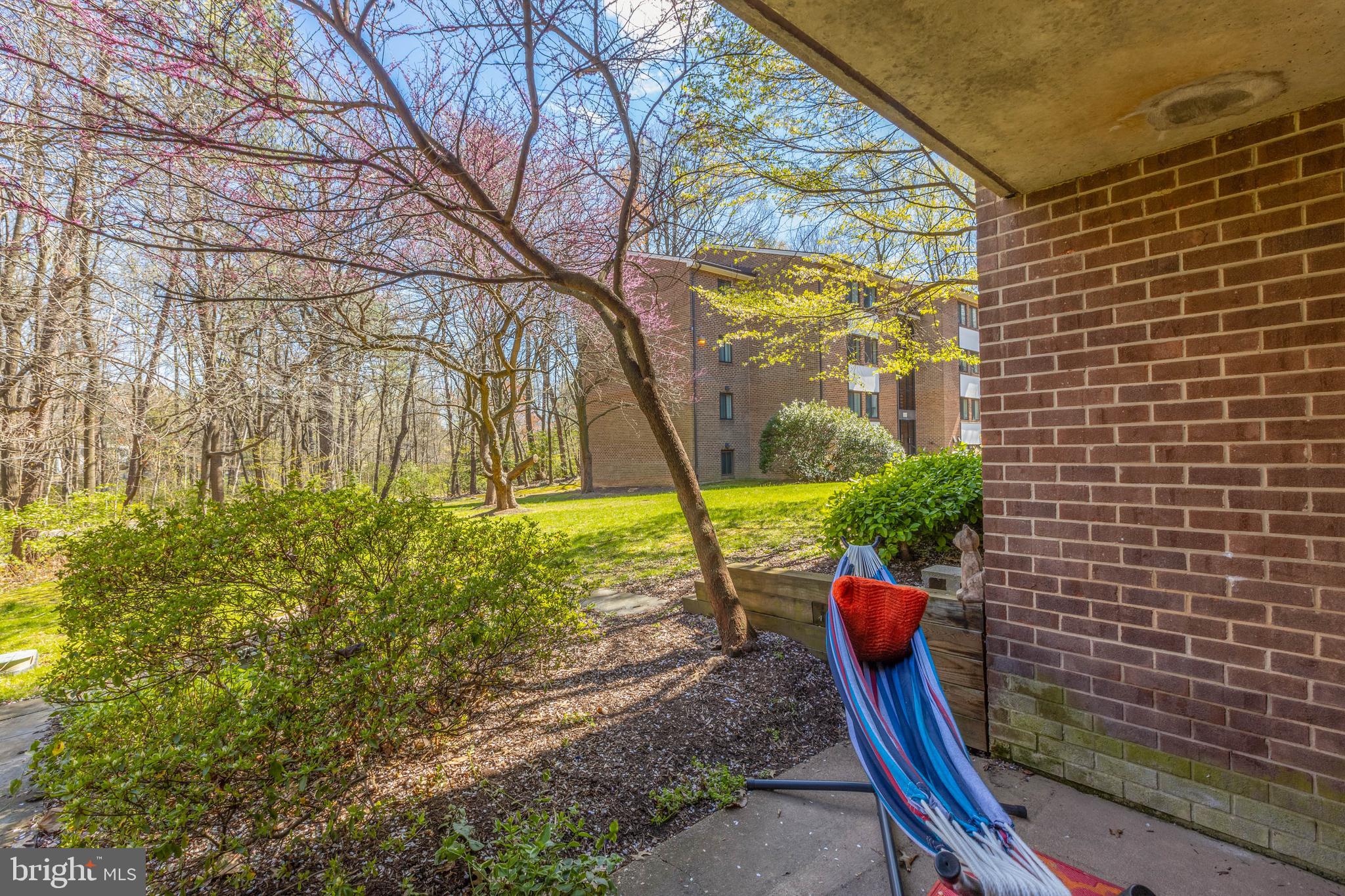 1427 Northgate Square, Unit 2A Reston, VA 20190 - Photo 19 of 50 Patio Opens to Greenspace