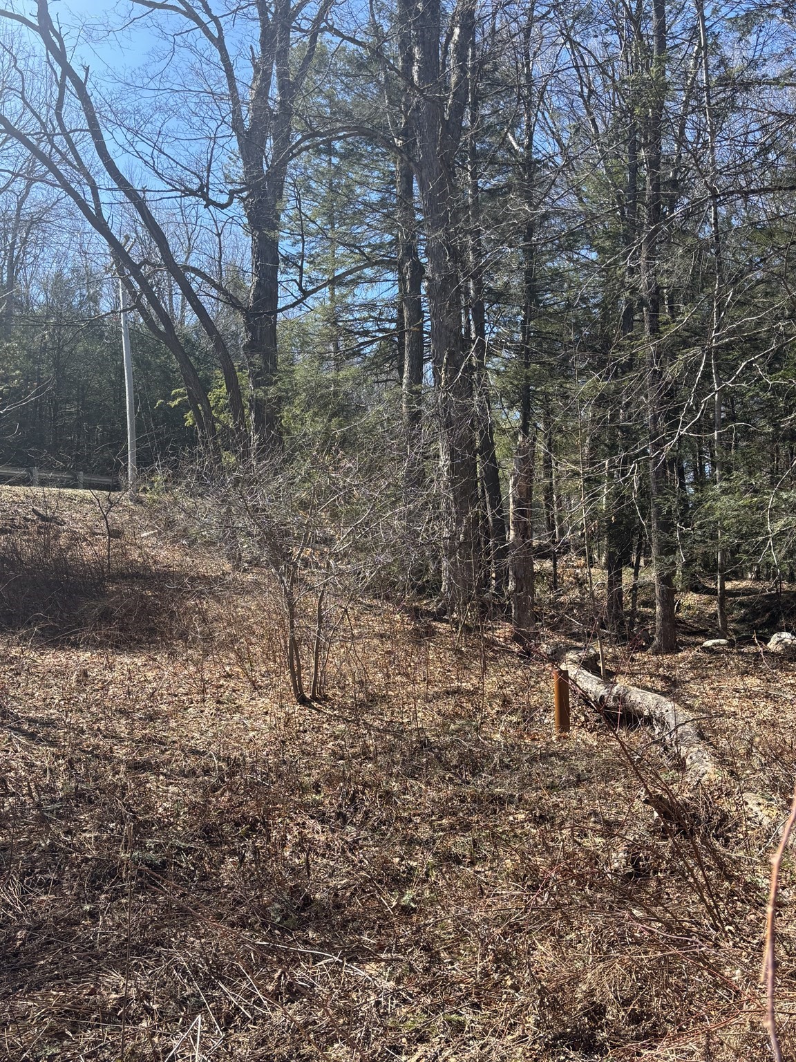 56 Bryant Road Cummington, MA 01026 - Photo 6 of 6 Gallery Image 6